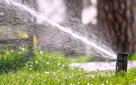 Claim Your FREE Customized Sprinkler System Plan - TLC Incorporated